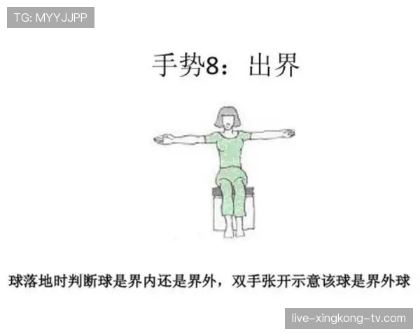 球砸到裁判身上到底怎么判罚？重新开球还是死球处理？