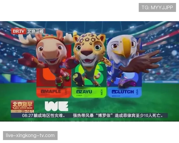 2026世界杯身份审核规则是什么