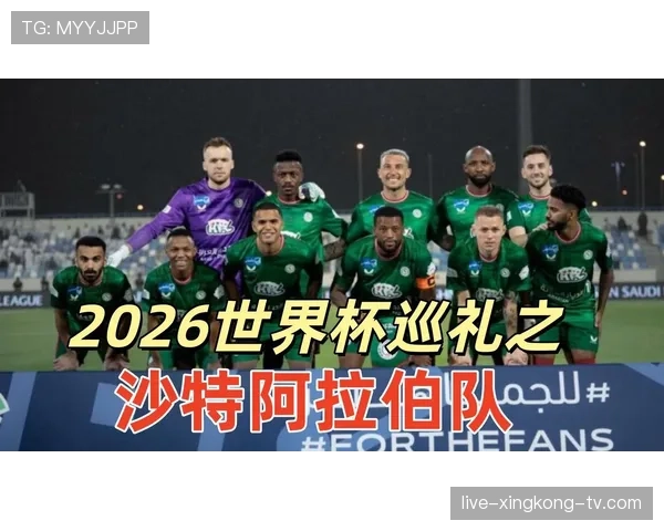 世界杯H组完整分析与出线预测